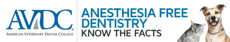 AVDC - Facts about Anesthesia Free Dental Cleanings